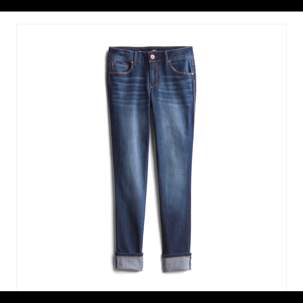 1822 Denim Vintage Berlin Skinny Jean
